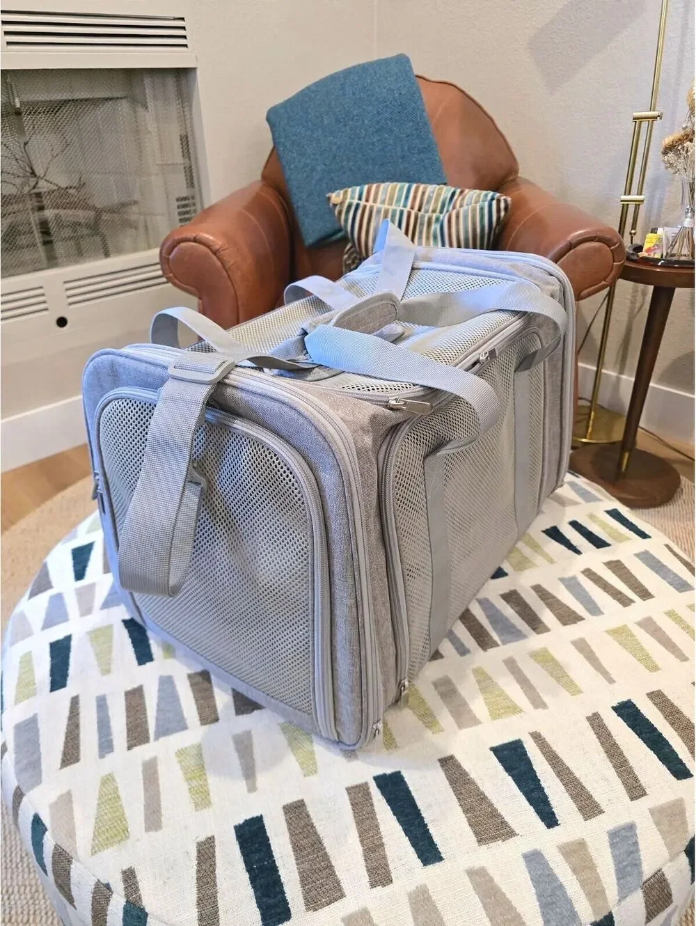 Pet Carrier for Small to Medium Pets - New